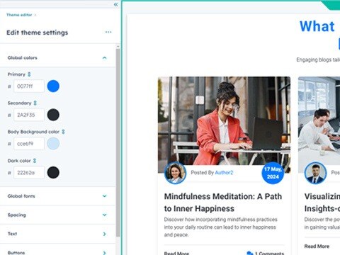 User Friendly Theme Option
